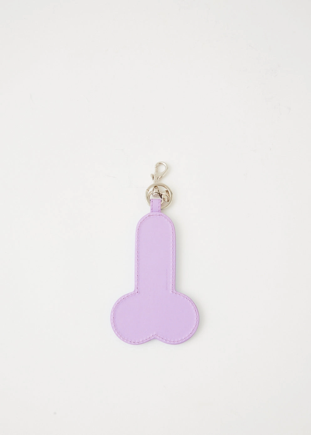 Anatomy Keyring