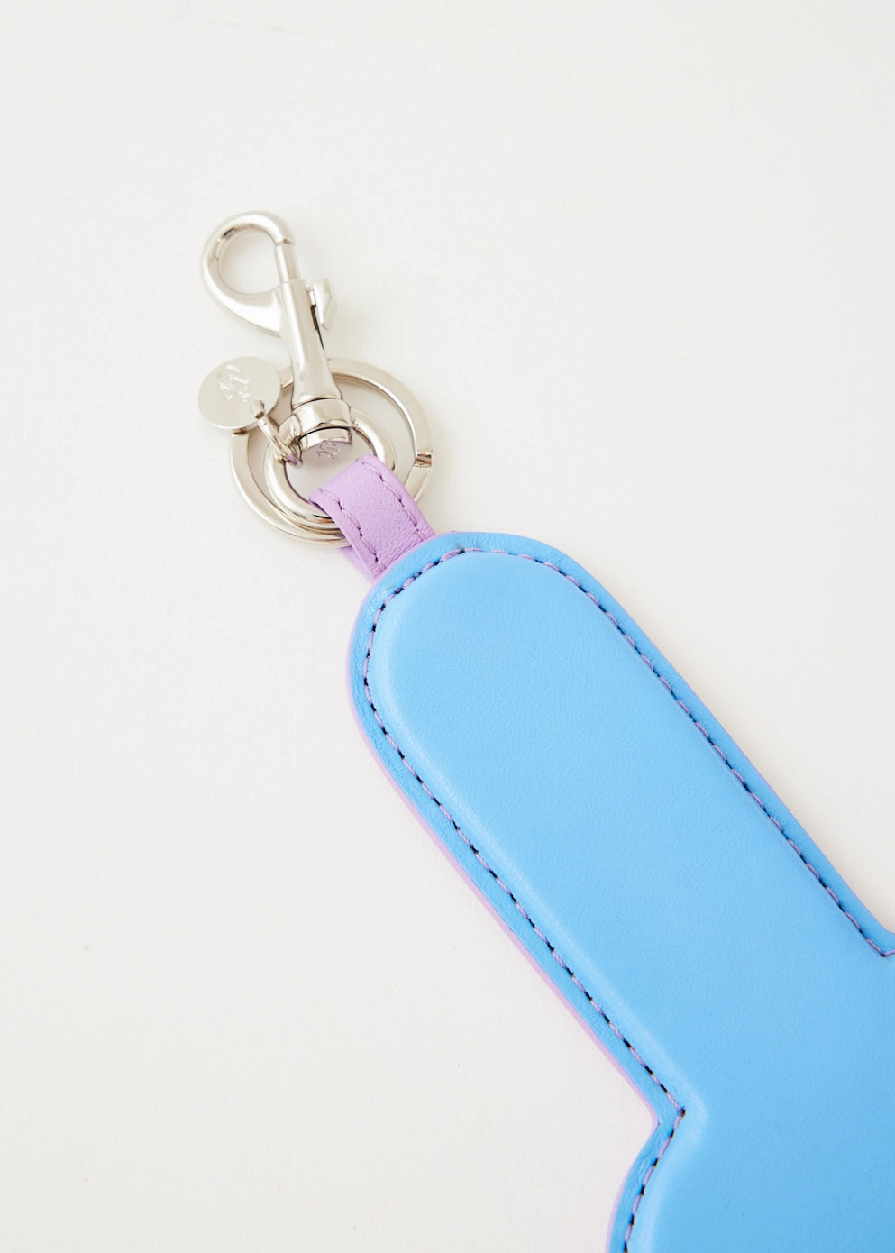 Anatomy Keyring