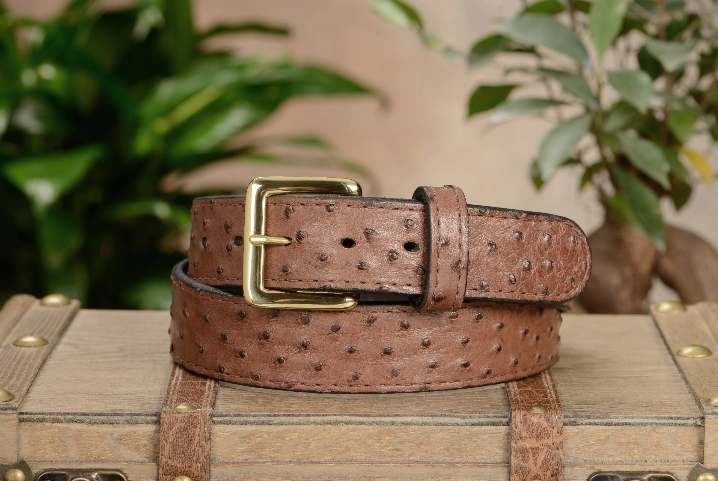 Brown South African Ostrich Skin Money Belt With 25" Zipper 1.50" Wide